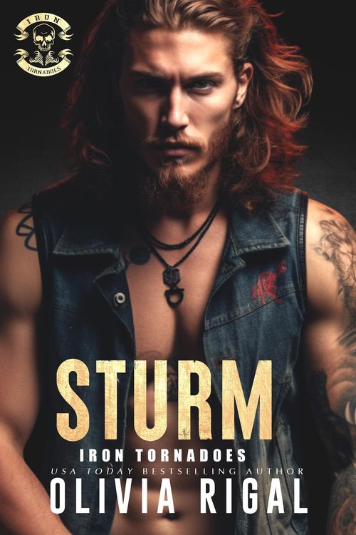 Produktbild: Iron Tornadoes - Sturm (Iron Tornadoes MC Romance)