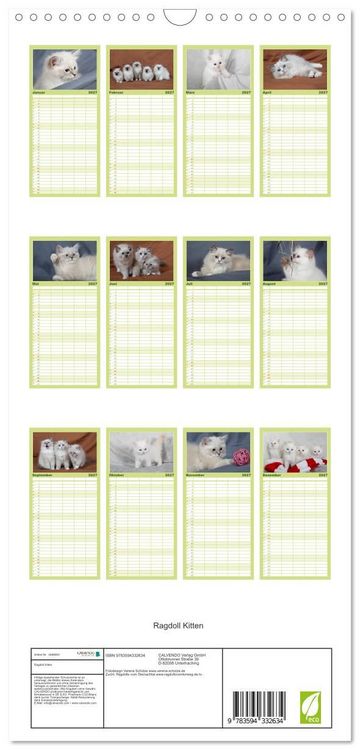 Produktbild: Familienplaner 2027 - Ragdoll Kitten mit 5 Spalten (Wandkalender, 21 x 45 cm) CALVENDO