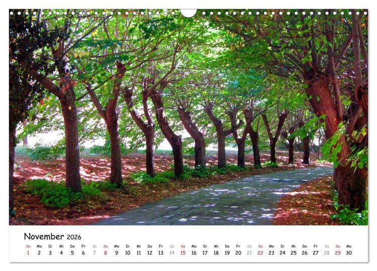 Produktbild: Franziskusweg - Camino di Assisi (Wandkalender 2026 DIN A3 quer), CALVENDO Monatskalender