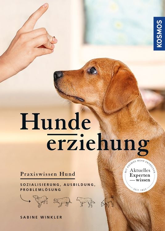 Produktbild: Hundeerziehung