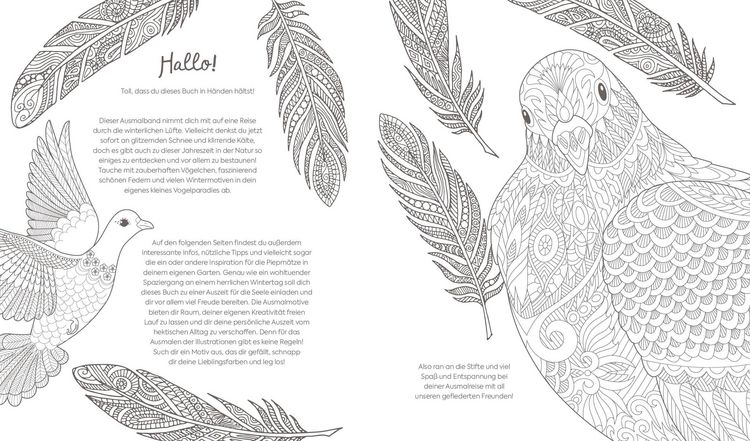 Produktbild: Ausmalreise Winterliche Vogelwelt