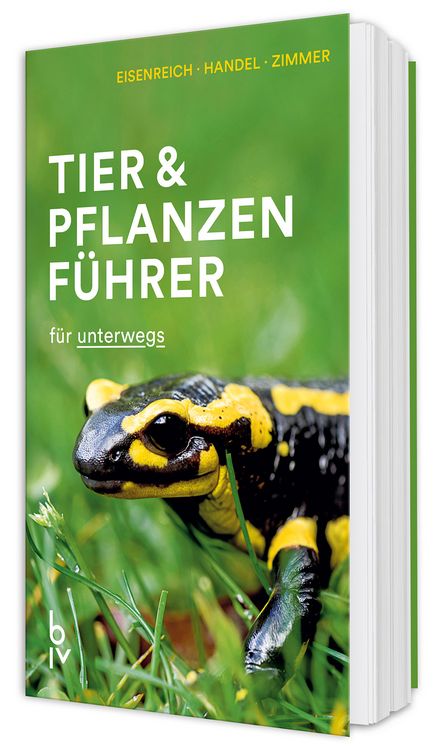 Produktbild: Der BLV Tier & Pflanzenf&uuml;hrer