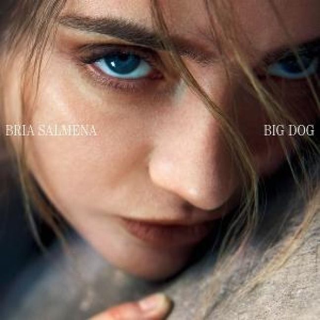 Produktbild: Big Dog