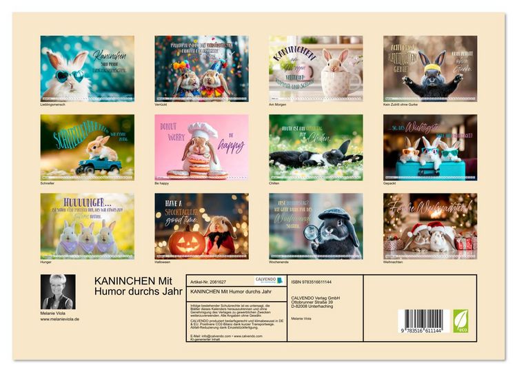 Produktbild: KANINCHEN Mit Humor durchs Jahr (Wandkalender 2026 DIN A3 quer), CALVENDO Monatskalender