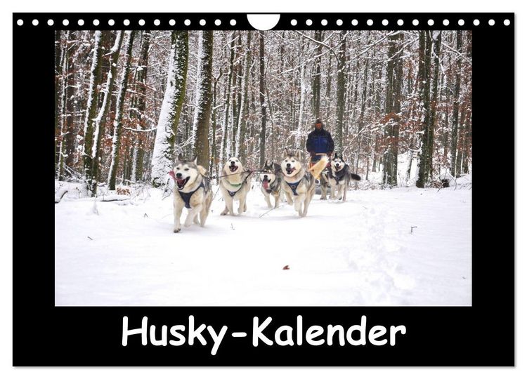 Produktbild: Husky-Kalender (Wandkalender 2026 DIN A4 quer), CALVENDO Monatskalender