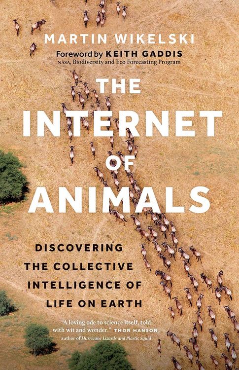 Produktbild: The Internet of Animals