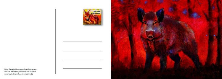 Produktbild: Von den Waldtieren &ndash; Ein Postkartenbuch