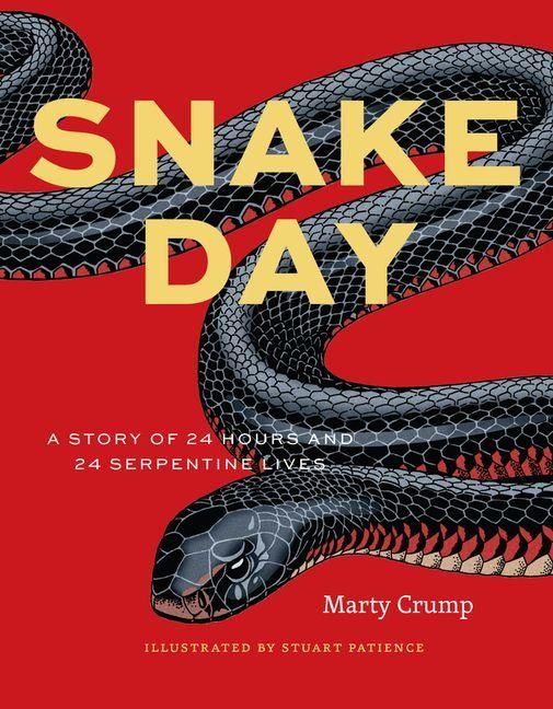 Produktbild: Snake Day