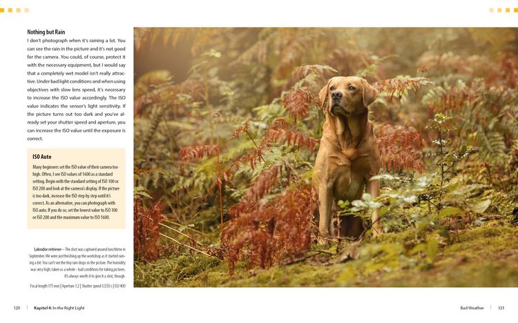 Produktbild: Dog Photography - Shooting with Bow "Wow" Effect