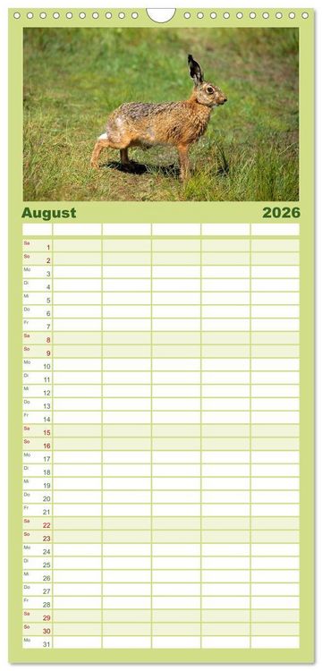 Produktbild: Familienplaner 2026 - Tiere des Waldes mit 5 Spalten (Wandkalender, 21 x 45 cm) CALVENDO