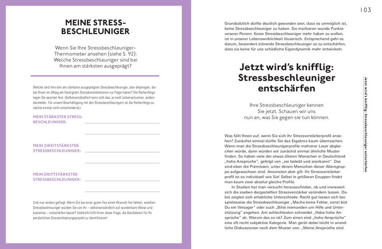 Produktbild: Stress positiv nutzen