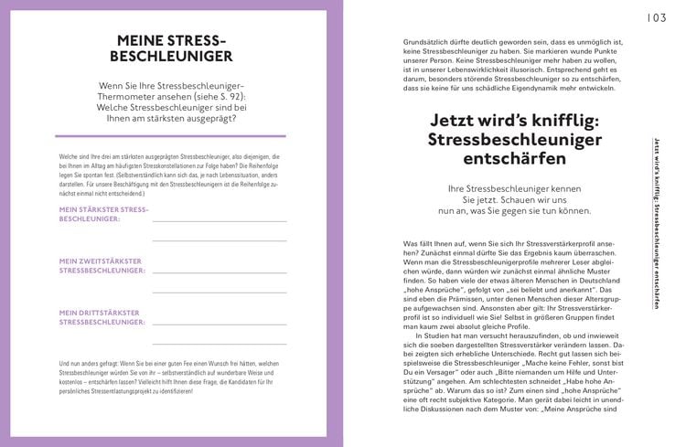 Produktbild: Stress positiv nutzen
