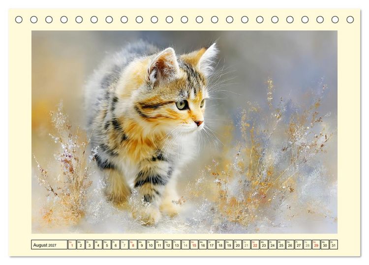 Produktbild: Wildkatzen. Europas scheue Waldbewohner (Tischkalender 2027 DIN A5 quer), CALVENDO Monatskalender