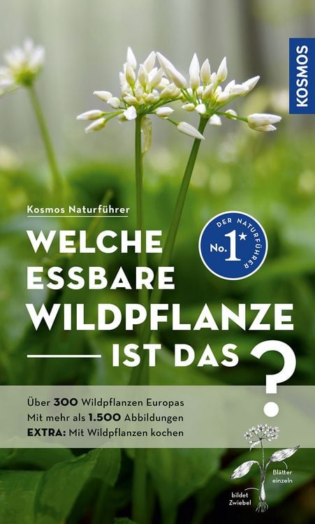 Produktbild: Welche essbare Wildpflanze ist das?