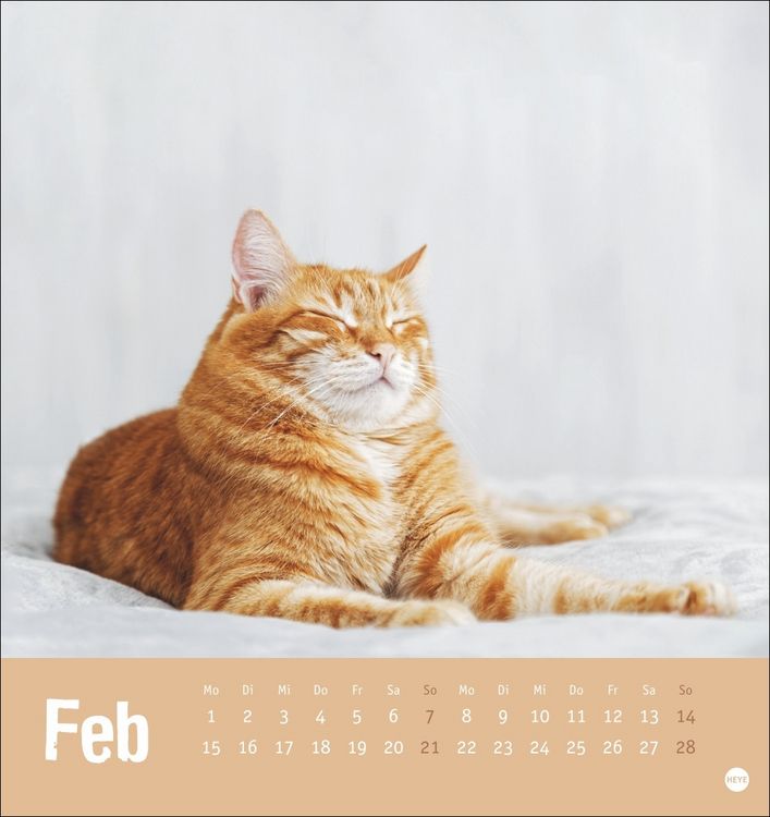 Produktbild: Tierisch entspannte Katzen Postkartenkalender 2027