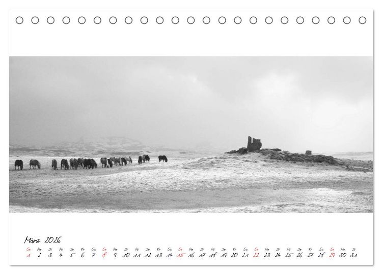 Produktbild: Islandpferde von Brimilsvellir (Tischkalender 2026 DIN A5 quer), CALVENDO Monatskalender