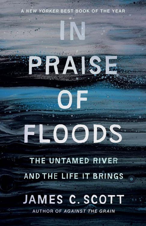 Produktbild: In Praise of Floods