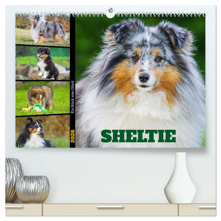 Produktbild: Sheltie - Ein St&uuml;ck vom Gl&uuml;ck (hochwertiger Premium Wandkalender 2026 DIN A2 quer), Kunstdruck in Hochglanz