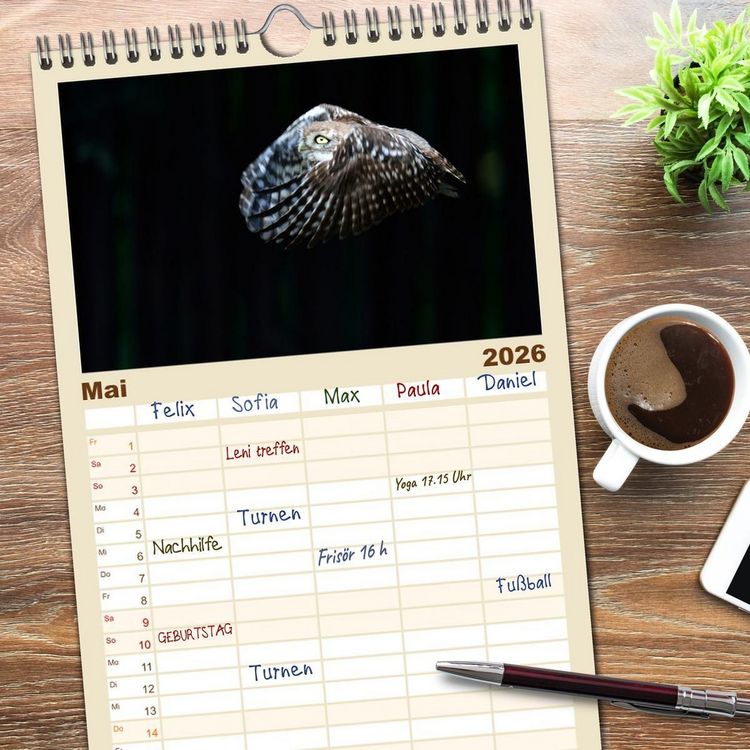 Produktbild: Familienplaner 2026 - Faszination Steinkauz mit 5 Spalten (Wandkalender, 21 x 45 cm) CALVENDO