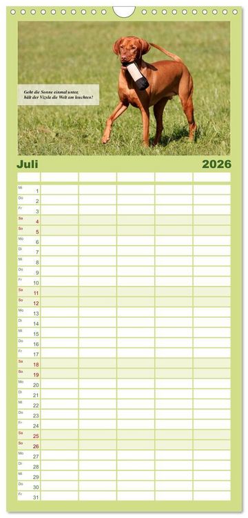 Produktbild: Familienplaner 2026 - Magyar Vizsla - Zauberhafte Kobolde mit 5 Spalten (Wandkalender, 21 x 45 cm) CALVENDO