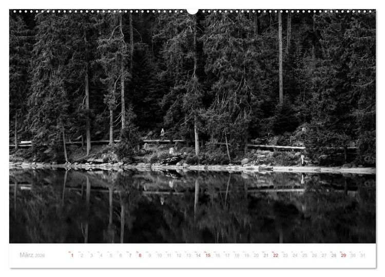 Produktbild: Mystischer Schwarzwald (Wandkalender 2026 DIN A2 quer), CALVENDO Monatskalender
