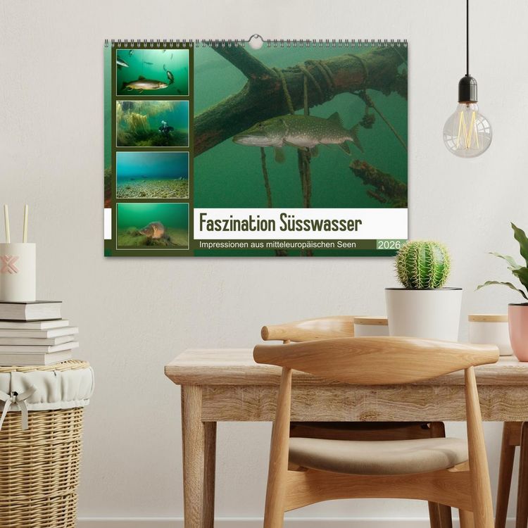 Produktbild: Faszination S&uuml;sswasser (Wandkalender 2026 DIN A3 quer), CALVENDO Monatskalender