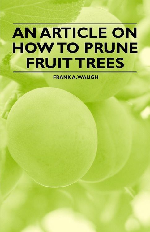 Produktbild: An Article on How to Prune Fruit Trees