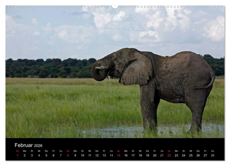 Produktbild: Namibia - Sch&ouml;ne Ansichten (Wandkalender 2026 DIN A2 quer), CALVENDO Monatskalender