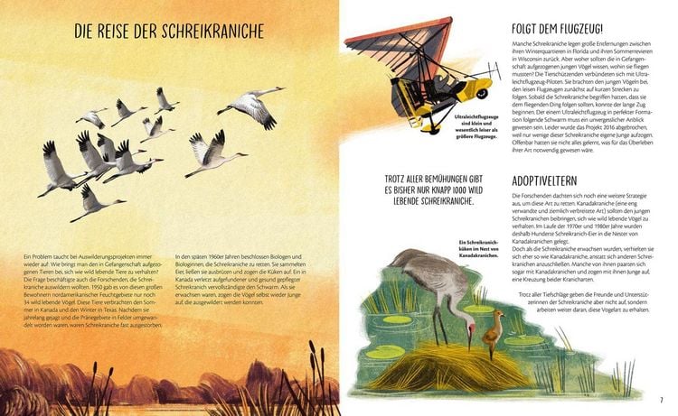 Produktbild: Zur&uuml;ck in die Wildnis
