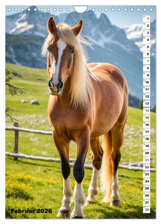 Produktbild: Pferdekalender - Wundersch&ouml;ne Pferde in Natur und Portraits (Wandkalender 2026 DIN A4 hoch), CALVENDO Monatskalender
