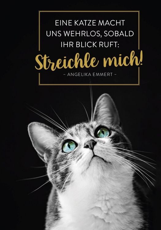 Produktbild: Buchkalender 2027: F&uuml;r Katzenfreunde