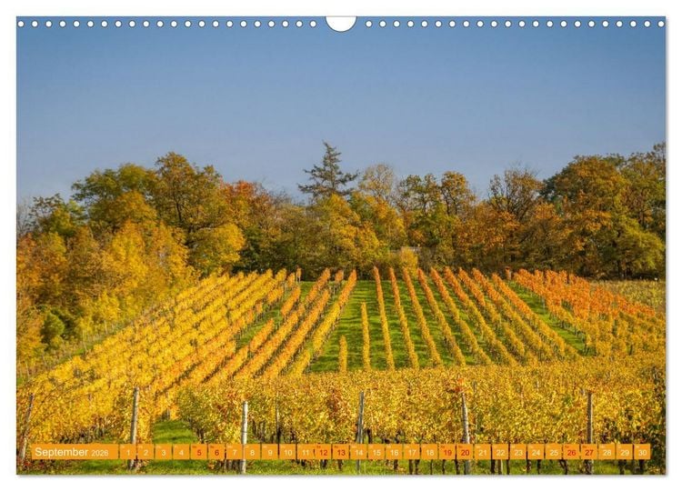 Produktbild: Indian Summer in Baden-W&uuml;rttemberg (Wandkalender 2026 DIN A3 quer), CALVENDO Monatskalender