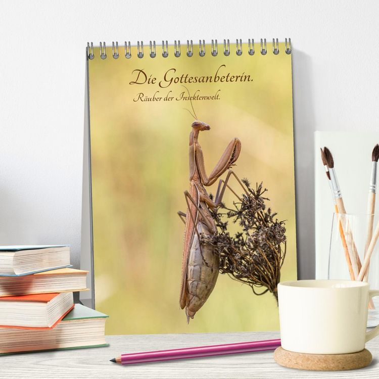 Produktbild: Die Gottesanbeterin. R&auml;uber der Insektenwelt. (Tischkalender 2026 DIN A5 hoch), CALVENDO Monatskalender