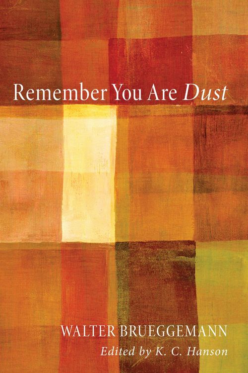 Produktbild: Remember You Are Dust