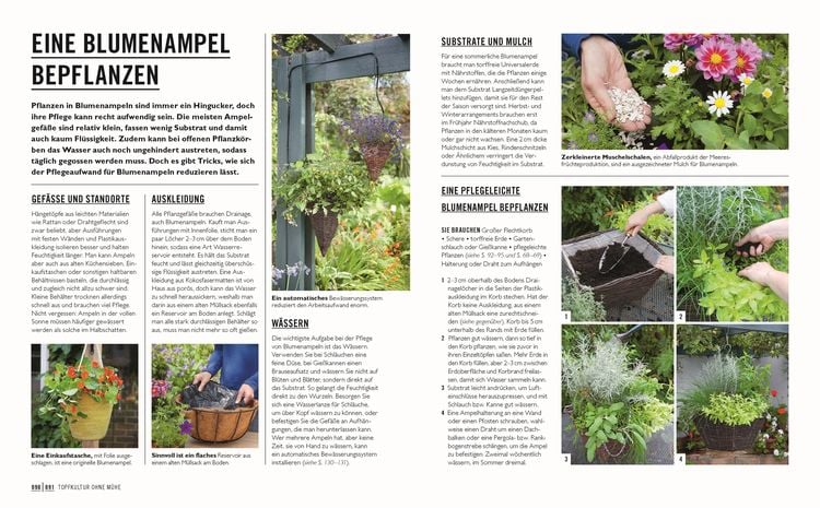 Produktbild: Gr&uuml;nes Gartenwissen. G&auml;rtnern mit wenig Aufwand
