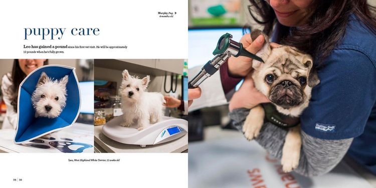 Produktbild: The Dogist Puppies