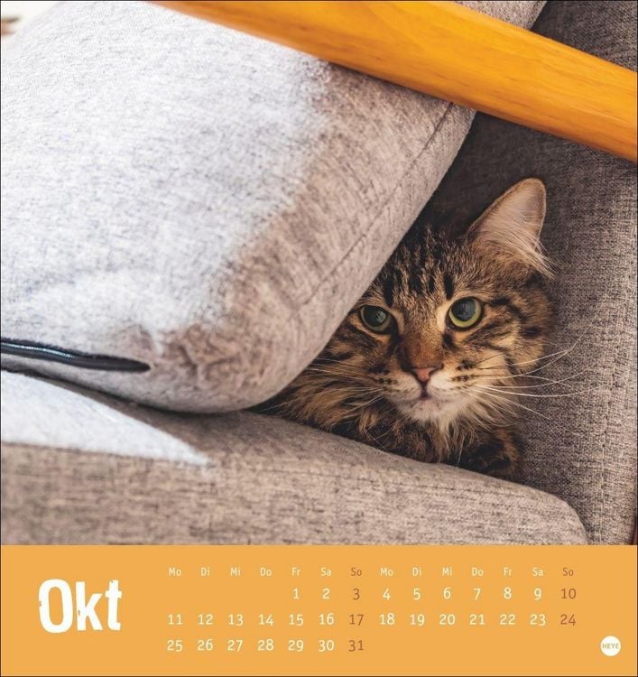 Produktbild: Tierisch entspannte Katzen Postkartenkalender 2027