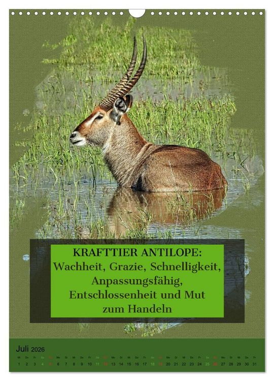 Produktbild: Afrikanische Krafttiere und deren Bedeutung (Wandkalender 2026 DIN A3 hoch), CALVENDO Monatskalender