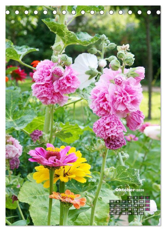 Produktbild: Malvenbl&uuml;te (Tischkalender 2026 DIN A5 hoch), CALVENDO Monatskalender
