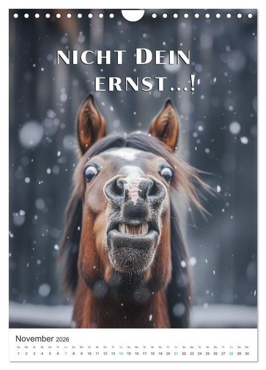 Produktbild: Lustige Tiere (Wandkalender 2026 DIN A4 hoch), CALVENDO Monatskalender