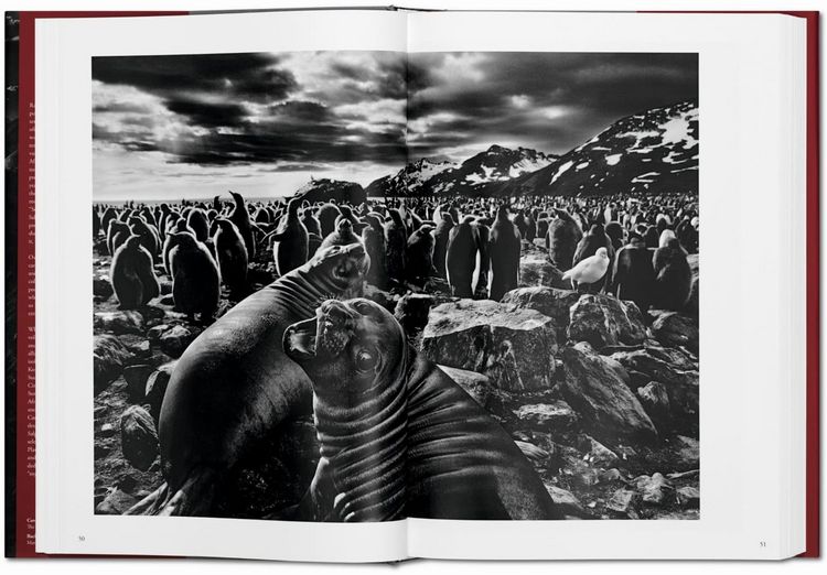 Produktbild: Sebasti&atilde;o Salgado. Genesis