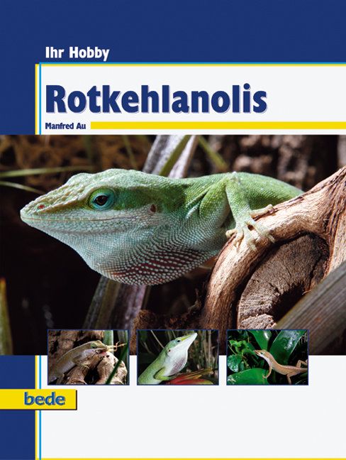 Produktbild: Rotkehlanolis