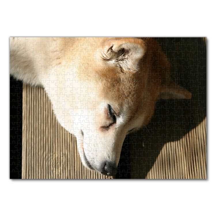 Produktbild: Lais Puzzle Shiba Inu 500 Teile