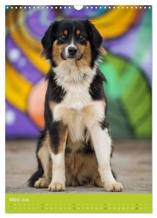 Produktbild: Graffiti Dogs Kunterbunt (Wandkalender 2026 DIN A3 hoch), CALVENDO Monatskalender
