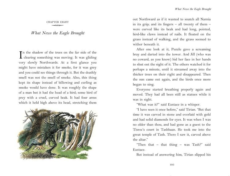 Produktbild: CHRONICLES OF NARNIA-LAST B_HB