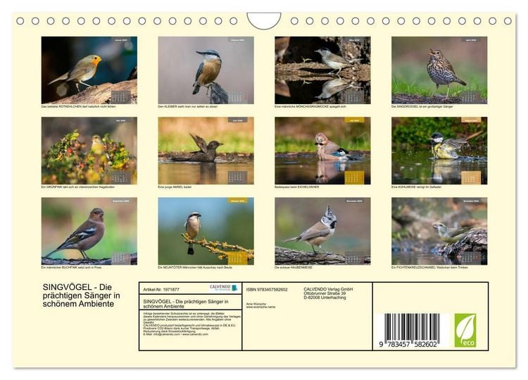 Produktbild: SINGV&Ouml;GEL - Die pr&auml;chtigen S&auml;nger in sch&ouml;nem Ambiente (Wandkalender 2026 DIN A4 quer), CALVENDO Monatskalender
