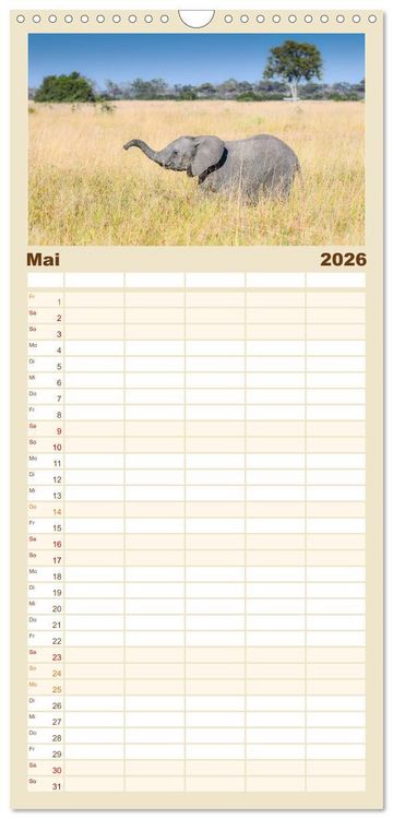 Produktbild: Familienplaner 2026 - Babyelefanten mit 5 Spalten (Wandkalender, 21 x 45 cm) CALVENDO