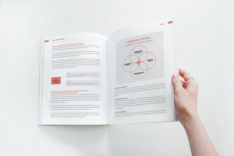 Produktbild: Intrapreneur Stories