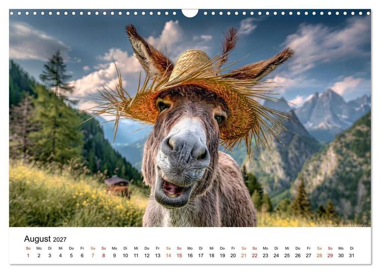 Produktbild: Esel - Humor mit langen Ohren (Wandkalender 2027 DIN A3 quer), CALVENDO Monatskalender