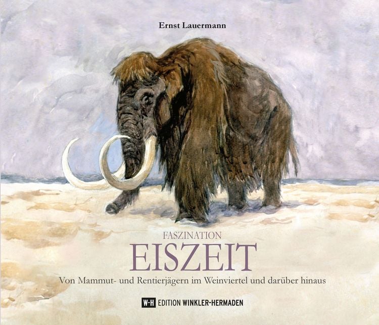 Produktbild: Faszination EISZEIT